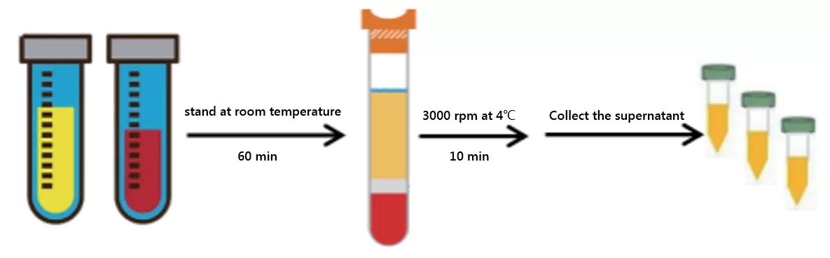 Figure 2. The schematic diagram of serum preparation